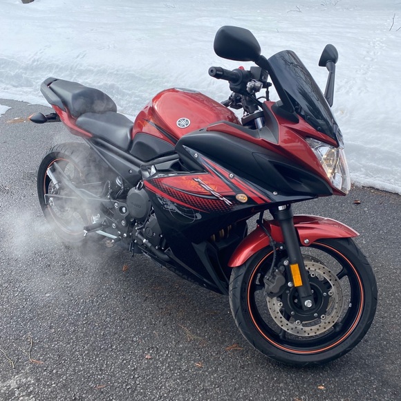 Meet your Posher, Max - Picture 1 of 1